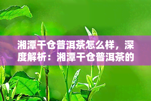 湘潭干仓普洱茶怎么样，深度解析：湘潭干仓普洱茶的品质与口感