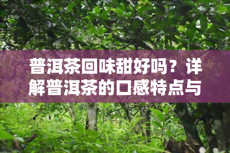 普洱茶回味甜好吗？详解普洱茶的口感特点与好坏判断