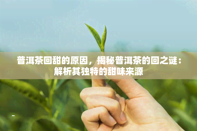 普洱茶回甜的原因，揭秘普洱茶的回之谜：解析其独特的甜味来源