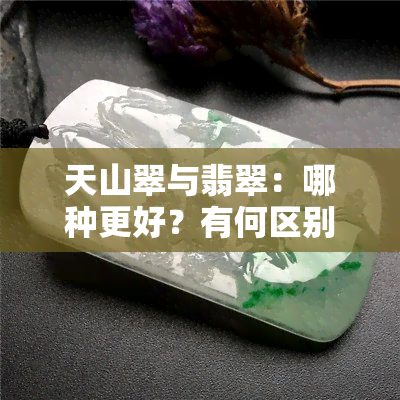 天山翠与翡翠：哪种更好？有何区别？