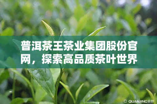 普洱茶王茶业集团股份官网，探索高品质茶叶世界：普洱茶王茶业集团股份官网