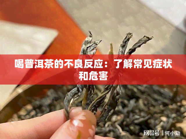 喝普洱茶的不良反应：了解常见症状和危害