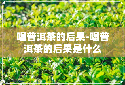 喝普洱茶的后果-喝普洱茶的后果是什么