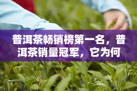 普洱茶畅销榜之一名，普洱茶销量冠军，它为何能成为畅销榜NO.1?