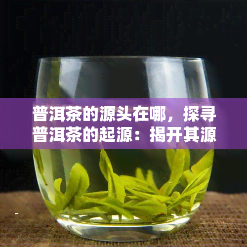 普洱茶的源头在哪，探寻普洱茶的起源：揭开其源头之谜