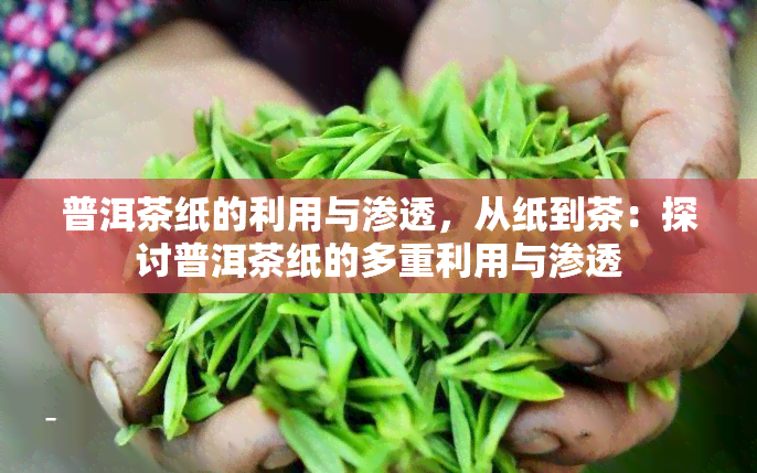 普洱茶纸的利用与渗透，从纸到茶：探讨普洱茶纸的多重利用与渗透