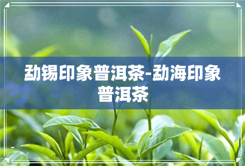 勐锡印象普洱茶-勐海印象普洱茶