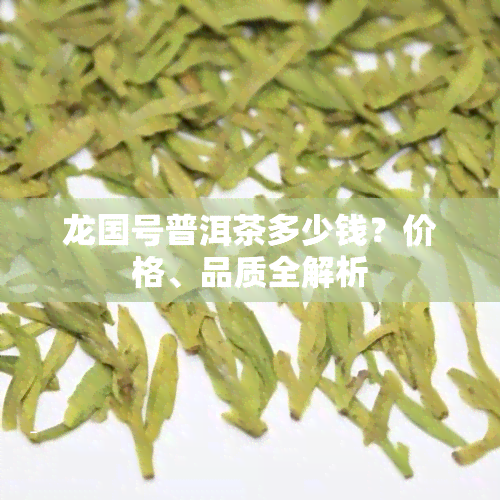 龙国号普洱茶多少钱？价格、品质全解析