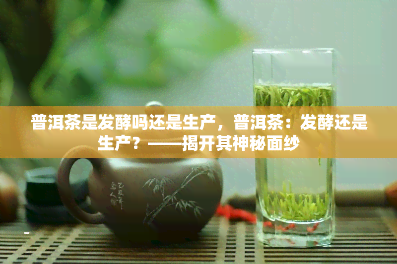 普洱茶是发酵吗还是生产，普洱茶：发酵还是生产？——揭开其神秘面纱