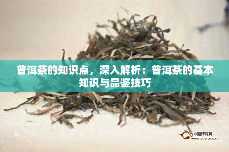 普洱茶的知识点，深入解析：普洱茶的基本知识与品鉴技巧