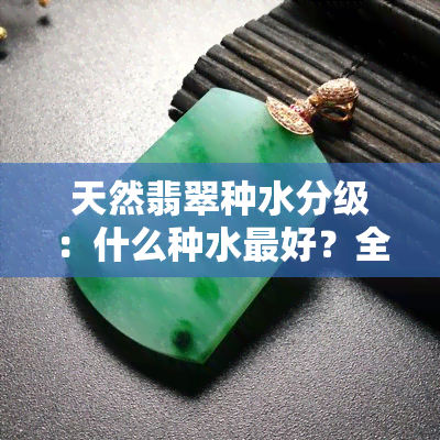 天然翡翠种水分级：什么种水更好？全解天然翡翠种类、纯天然与颜色，精选天然翡翠饰品