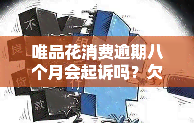 唯品花消费逾期八个月会起诉吗？欠款7000元逾期10个月未还，每月还款可行吗？