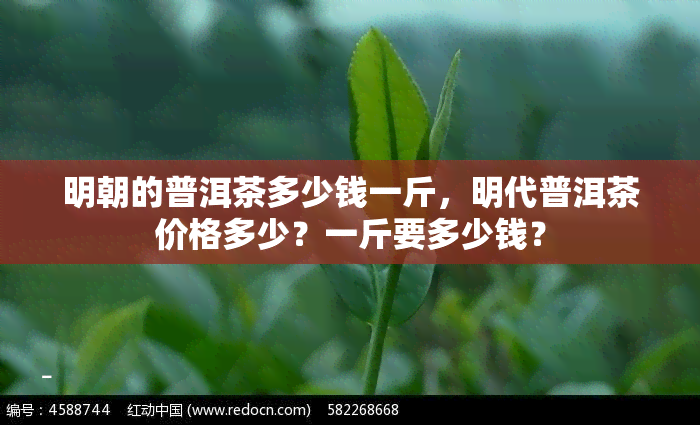 明朝的普洱茶多少钱一斤，明代普洱茶价格多少？一斤要多少钱？