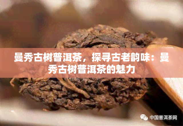 曼秀古树普洱茶，探寻古老韵味：曼秀古树普洱茶的魅力