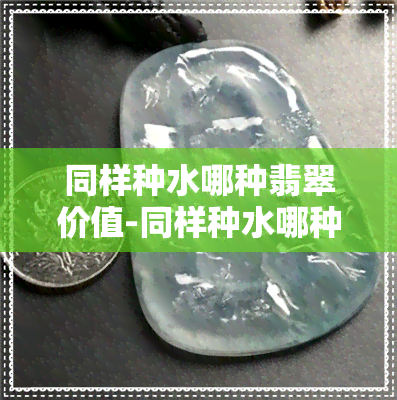 同样种水哪种翡翠价值-同样种水哪种翡翠价值高