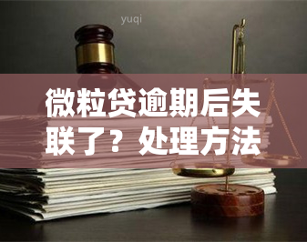 微粒贷逾期后失联了？处理方法与后果全解析！