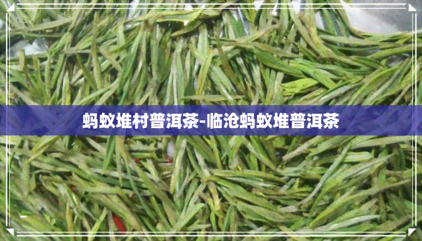 蚂蚁堆村普洱茶-临沧蚂蚁堆普洱茶