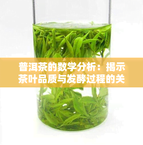 普洱茶的数学分析：揭示茶叶品质与发酵过程的关系