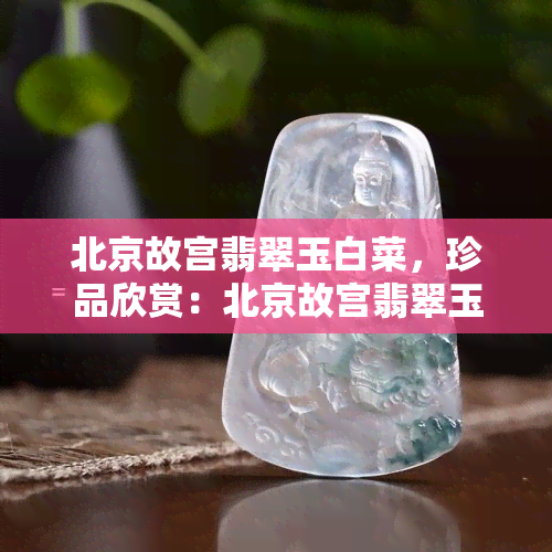 北京故宫翡翠玉白菜，珍品欣赏：北京故宫翡翠玉白菜