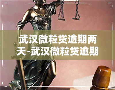 武汉微粒贷逾期两天-武汉微粒贷逾期两天会怎么样