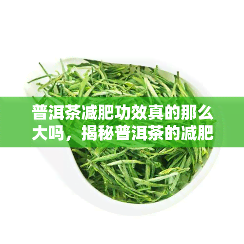 普洱茶减肥功效真的那么大吗，揭秘普洱茶的减肥真相：效果有多大？