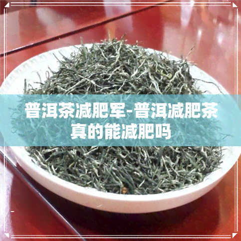 普洱茶减肥军-普洱减肥茶真的能减肥吗