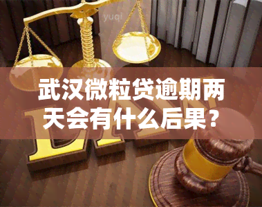 武汉微粒贷逾期两天会有什么后果？方式是什么？