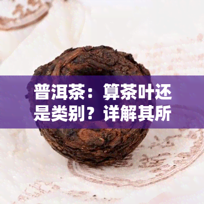 普洱茶：算茶叶还是类别？详解其所属类型及特点