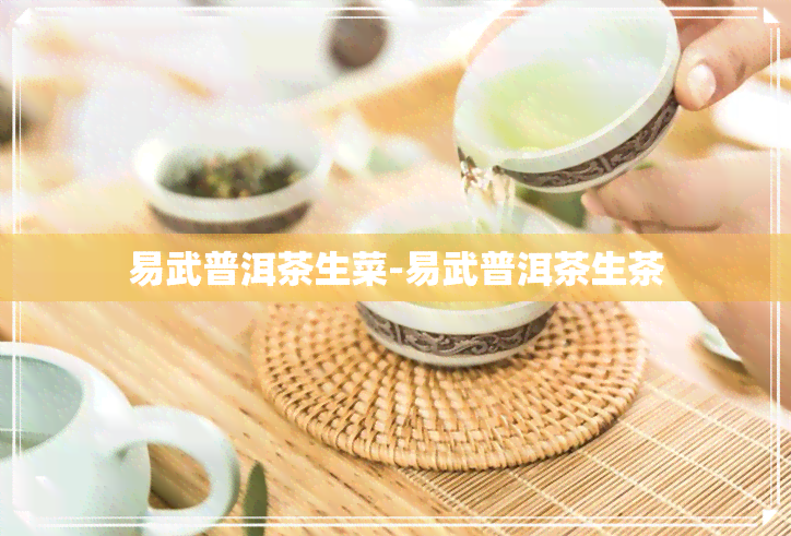 易武普洱茶生菜-易武普洱茶生茶