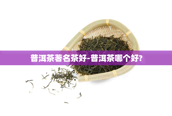 普洱茶著名茶好-普洱茶哪个好?