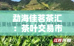 勐海佳茗茶汇：茶叶交易市场的熟茶与普洱茶价格全览