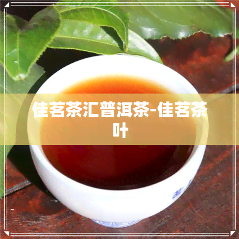 佳茗茶汇普洱茶-佳茗茶叶