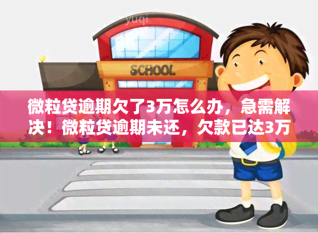 微粒贷逾期欠了3万怎么办，急需解决！微粒贷逾期未还，欠款已达3万元，应该怎么办？