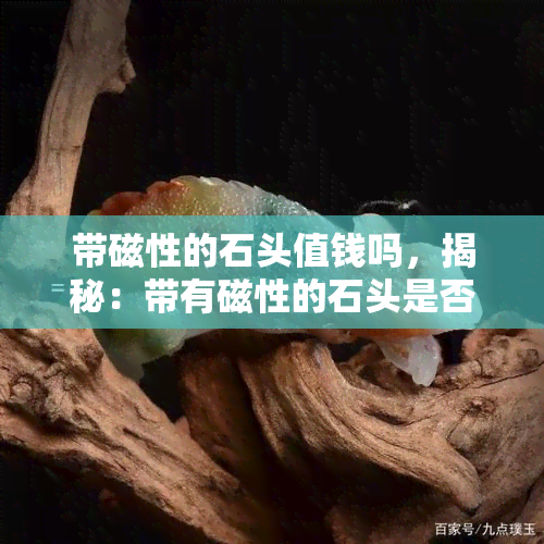 带磁性的石头值钱吗，揭秘：带有磁性的石头是否真的值钱？