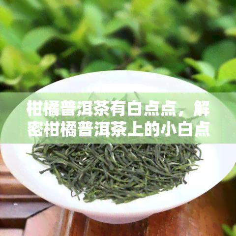 柑橘普洱茶有白点点，解密柑橘普洱茶上的小白点：真相大揭秘！