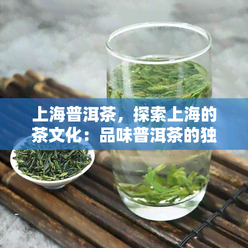 上海普洱茶，探索上海的茶文化：品味普洱茶的独特魅力