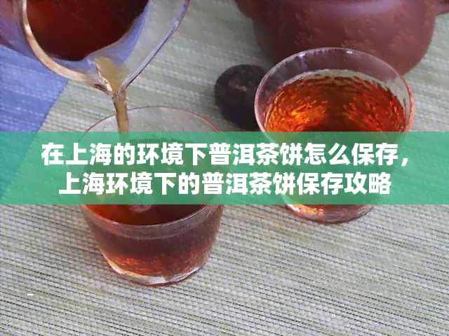 在上海的环境下普洱茶饼怎么保存，上海环境下的普洱茶饼保存攻略