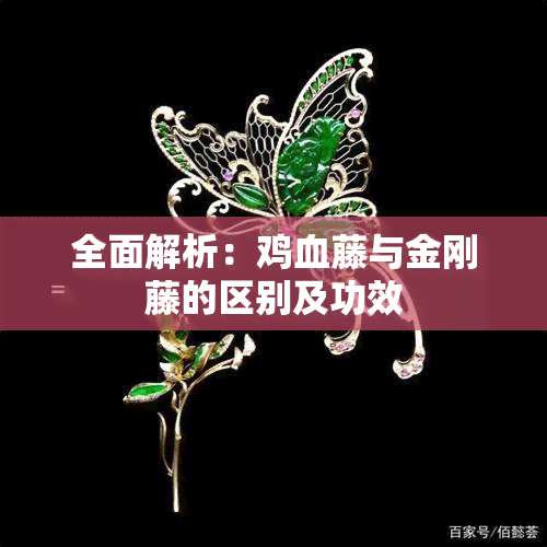 全面解析：鸡血藤与金刚藤的区别及功效