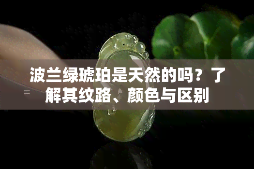 波兰绿琥珀是天然的吗？了解其纹路、颜色与区别