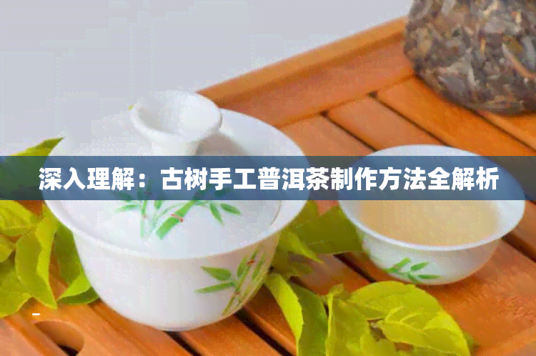 深入理解：古树手工普洱茶制作方法全解析