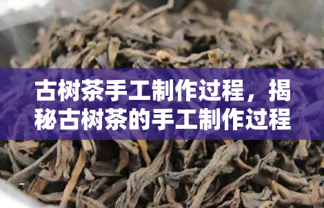 古树茶手工制作过程，揭秘古树茶的手工制作过程：一场视觉与味觉的宴