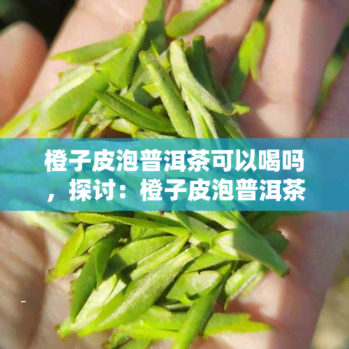 橙子皮泡普洱茶可以喝吗，探讨：橙子皮泡普洱茶是否适合饮用？