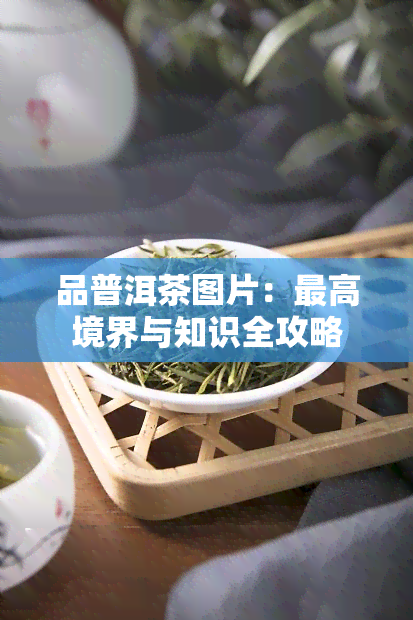 品普洱茶图片：更高境界与知识全攻略