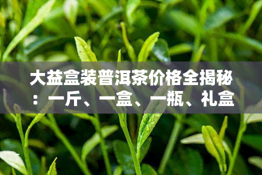 大益盒装普洱茶价格全揭秘：一斤、一盒、一瓶、礼盒，应有尽有！