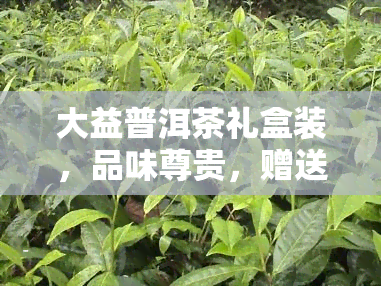 大益普洱茶礼盒装，品味尊贵，赠送佳礼——大益普洱茶礼盒装