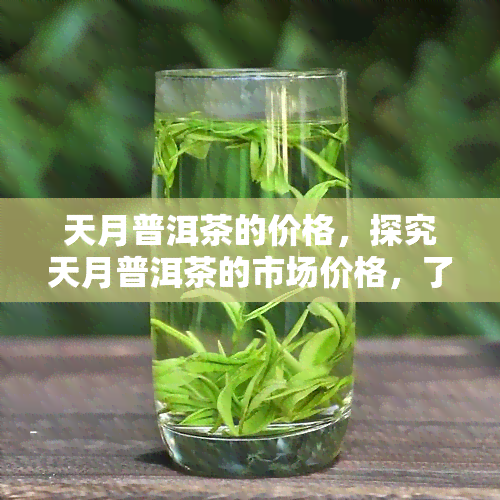 天月普洱茶的价格，探究天月普洱茶的市场价格，了解这款茶叶的真实价值