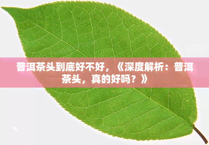 普洱茶头到底好不好，《深度解析：普洱茶头，真的好吗？》