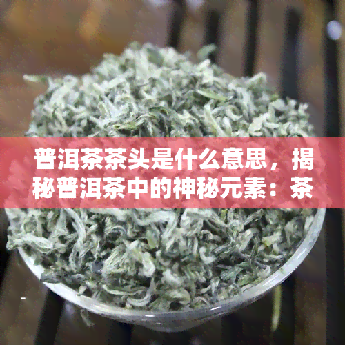 普洱茶茶头是什么意思，揭秘普洱茶中的神秘元素：茶头是什么？