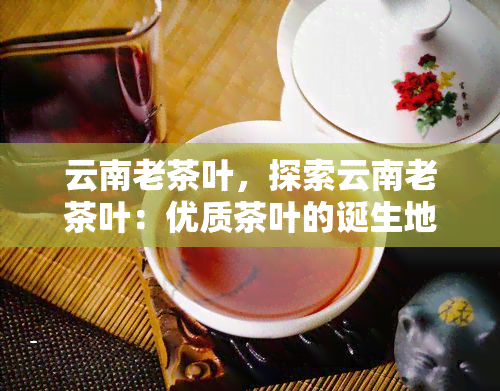 云南老茶叶，探索云南老茶叶：优质茶叶的诞生地