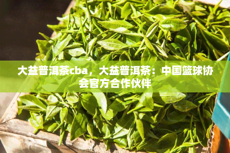 大益普洱茶cba，大益普洱茶：中国篮球协会官方合作伙伴